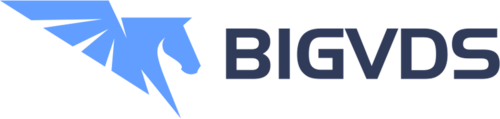 Логотип хостинг-компании BigVDS