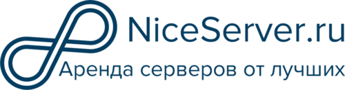 Логотип хостинг-компании NiceServer