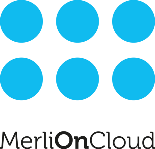 Логотип хостинг-компании MerliOnCloud