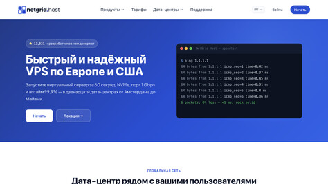 Сайт хостинг-компании NetGrid Host