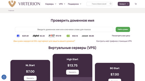 Сайт хостинг-компании Virterion